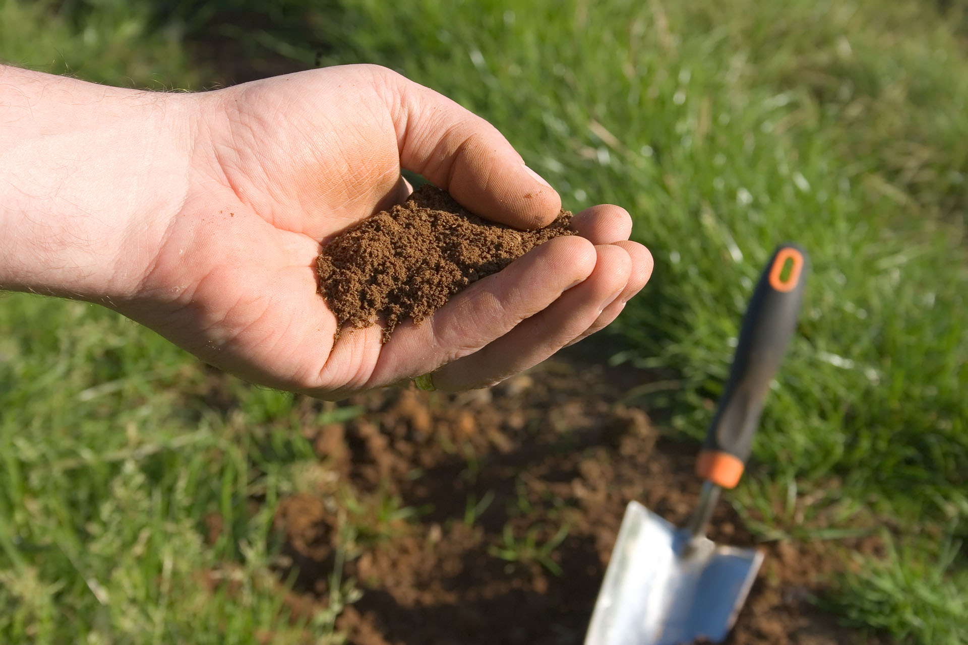 How To Dry Out Soil Quickly Reddit