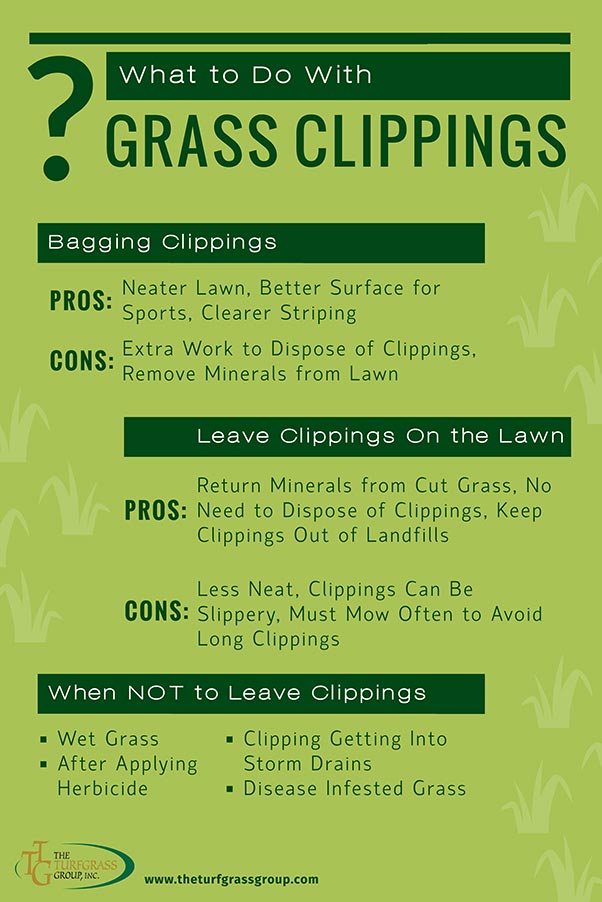What To Do With Grass Clippings The Turfgrass Group Inc