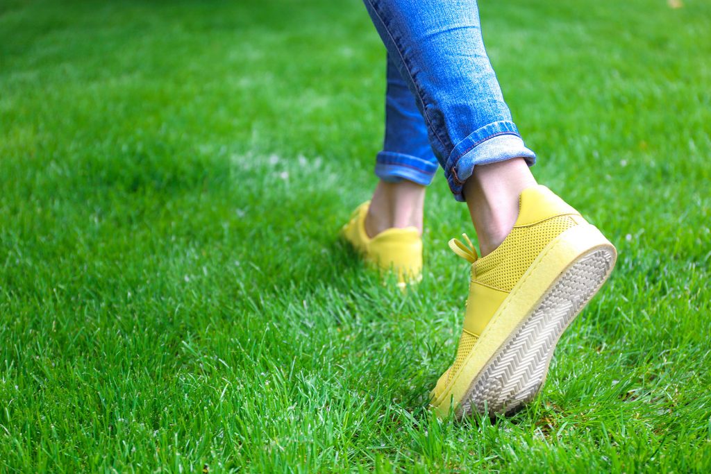 Adidas superstar supercolor shop on feet green