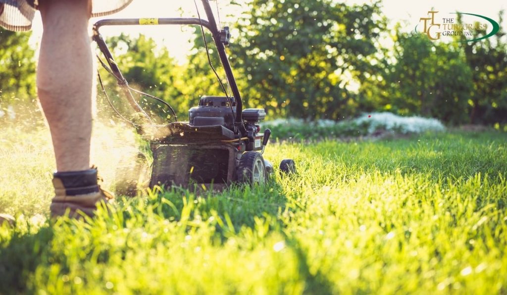 Ways to cut grass online without a lawn mower