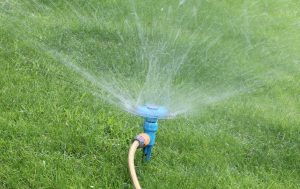 How to Use Less Water on Your Lawn
