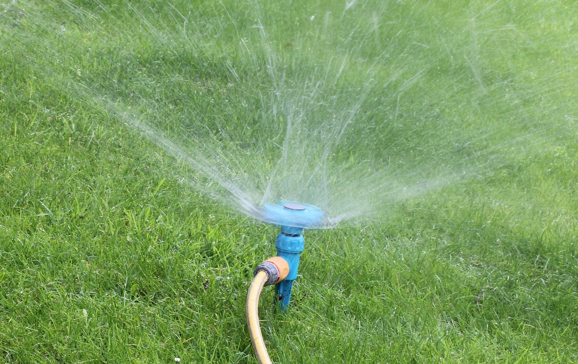 How To Use Less Water On Your Lawn The Turfgrass Group Inc