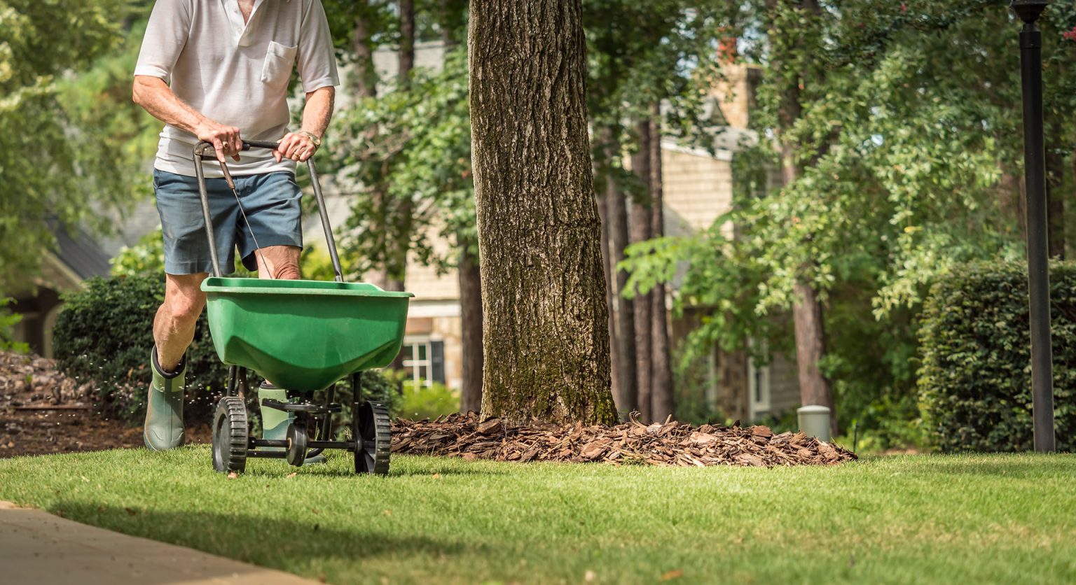 What Happens When You Fertilize Your Lawn | The Turfgrass Group Inc