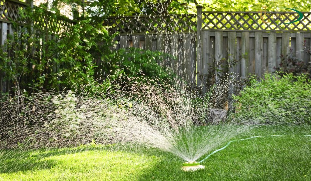 Deep Watering Grass