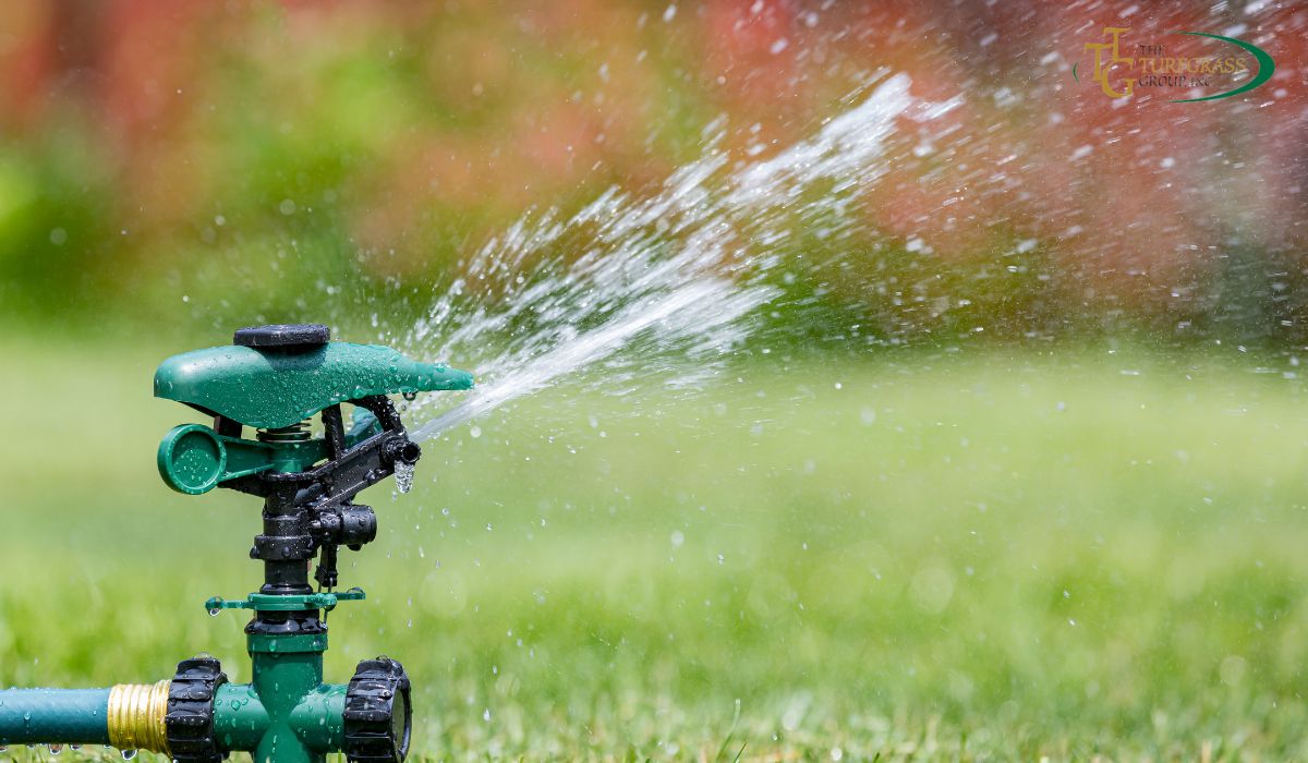 Deep Watering Grass