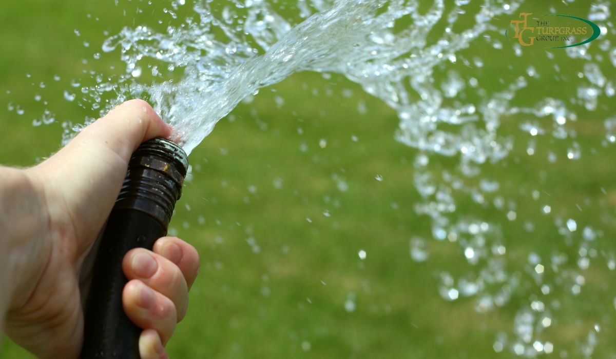 Deep Watering Grass