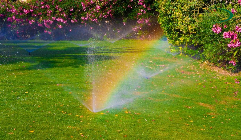 8 Simple Ways to Save Water on Your Lawn