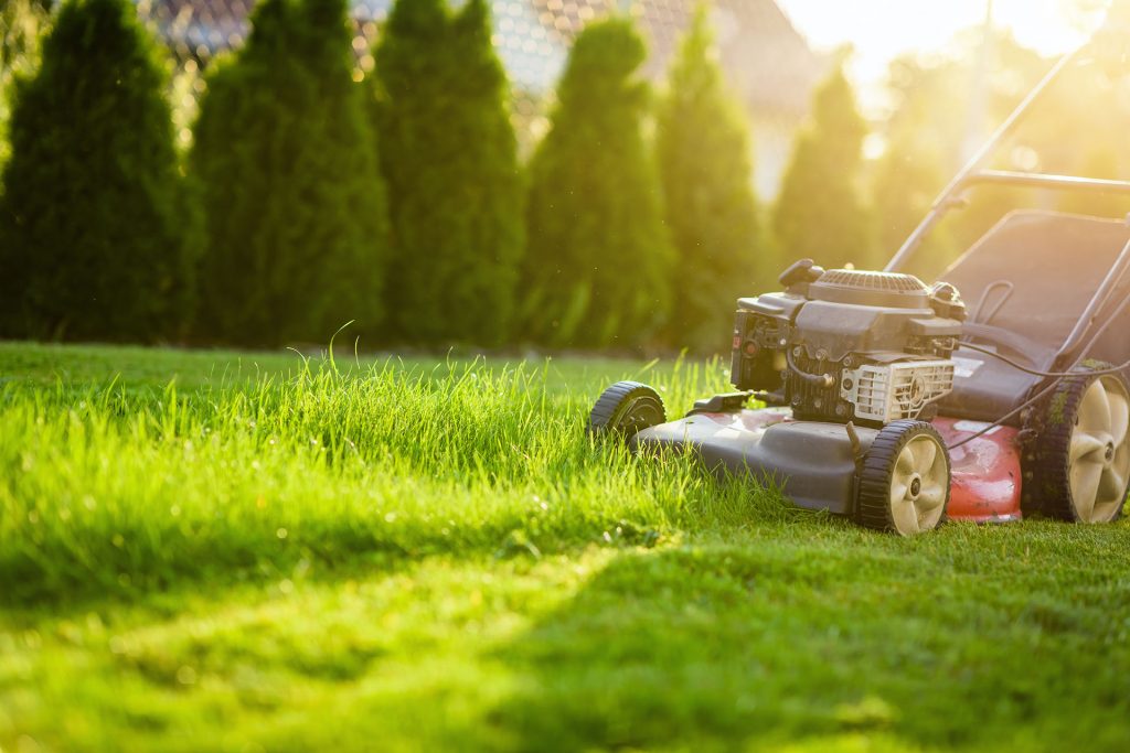 Yard Cutting Grass