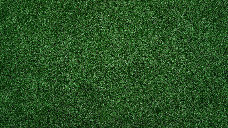 deep green lawn