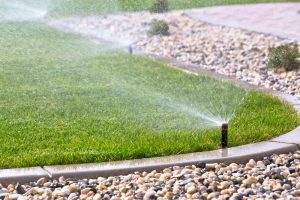 Watering properly is just one key to unlocking greener grass