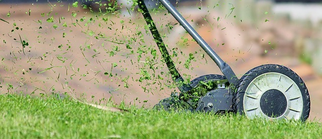 Grass maintenance clearance