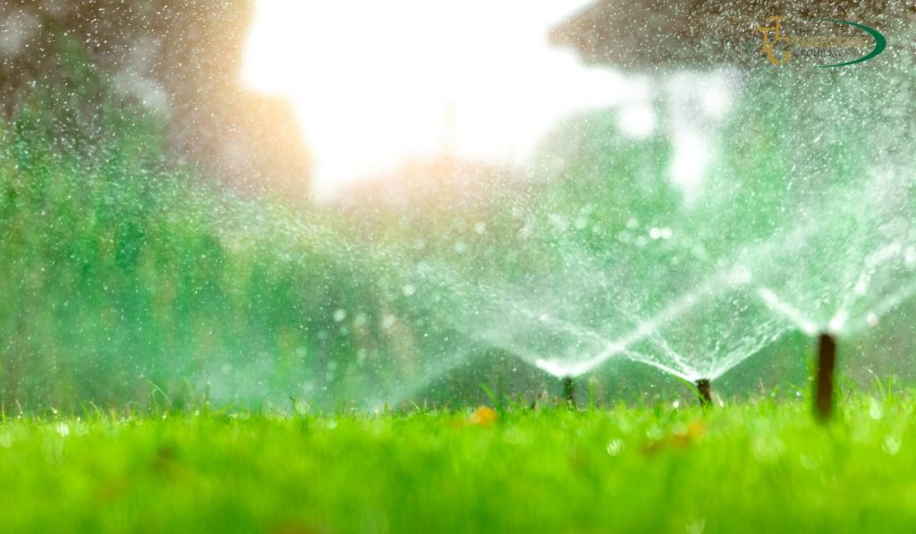 Use Less Water on Your Lawn