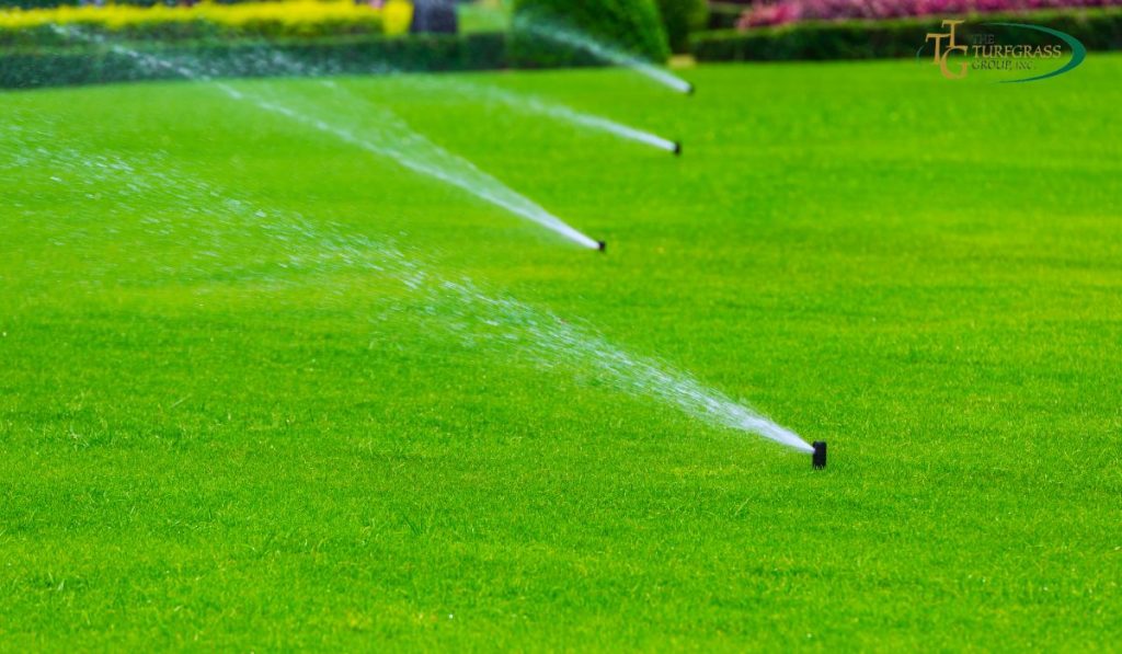 Use Less Water on Your Lawn