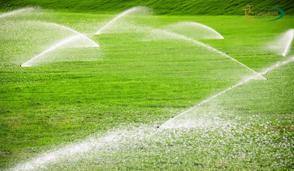 Use Less Water on Your Lawn