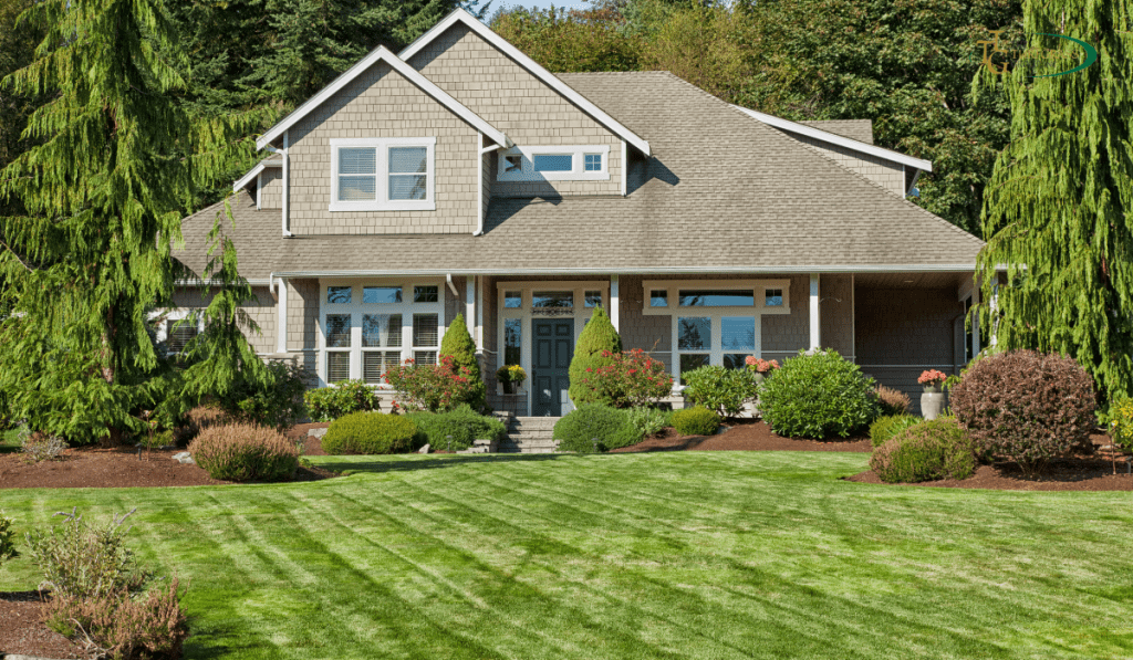 5 Mistakes Homeowners Make that Will Kill a Lawn