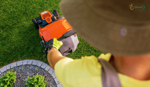 Professional Lawn Care Tips You Can Try at Home