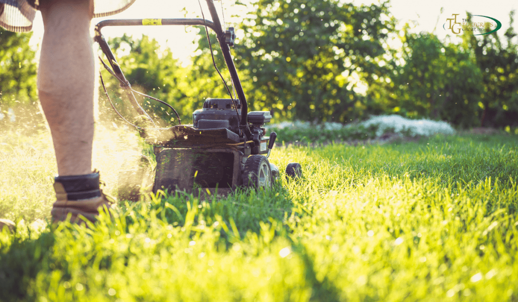 Professional Lawn Care Tips You Can Try at Home