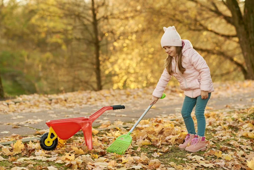 Rake Up Fallen Leaves