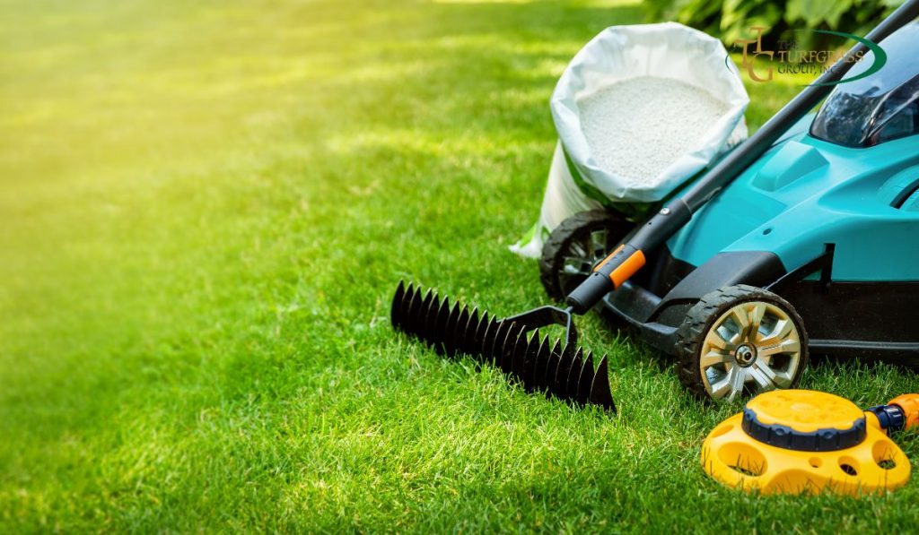 Bermuda Grass Lawn Care Tips