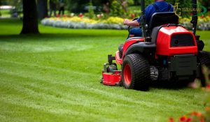 Maintaining a Lush Bermuda Grass Lawn