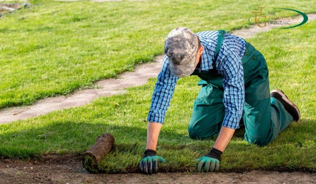 Turf Professionals