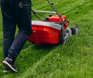Spring Lawn Care: Essential Tips for March