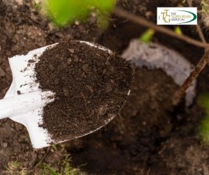 Preparing Your Soil for Spring Planting: Dos and Don'ts