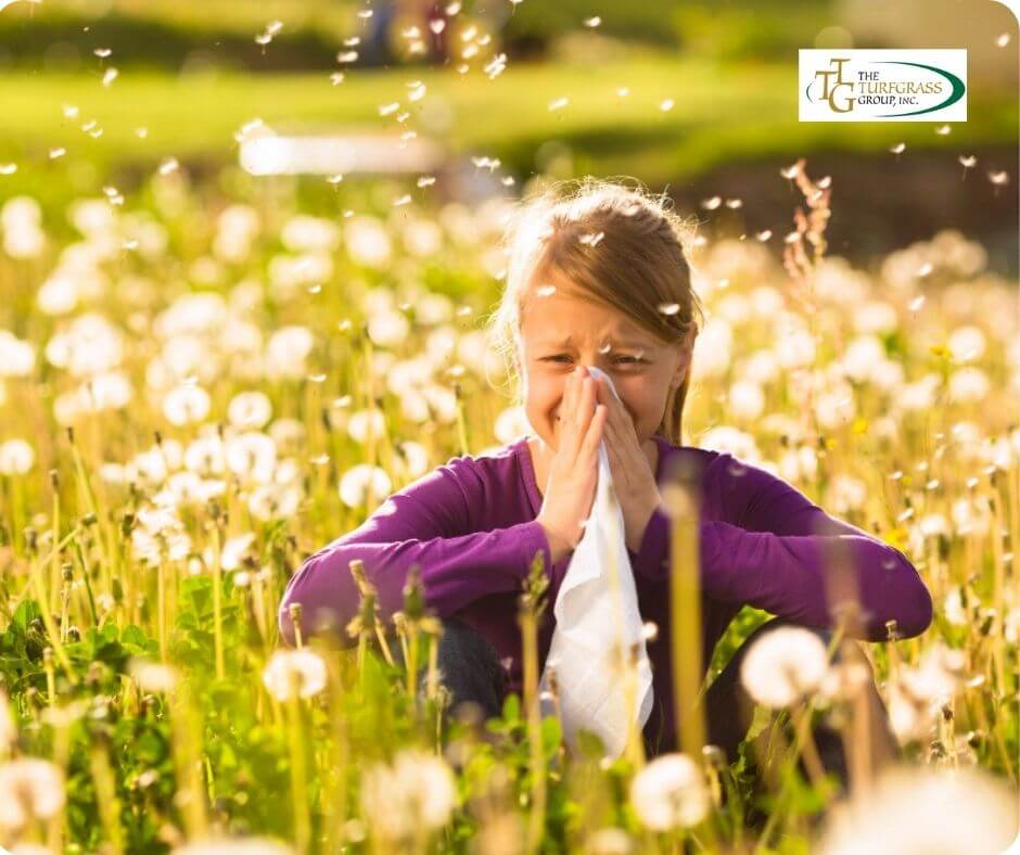 The Impact of Early Spring Pollen on Grass Allergies